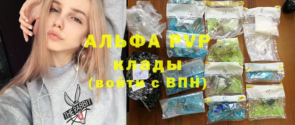 хмурый Тайга