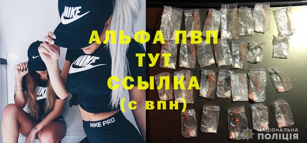 бошки Богданович