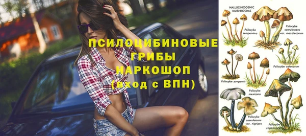 хмурый Строитель