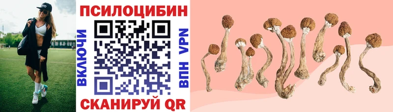 Галлюциногенные грибы Cubensis  как найти   Сертолово 